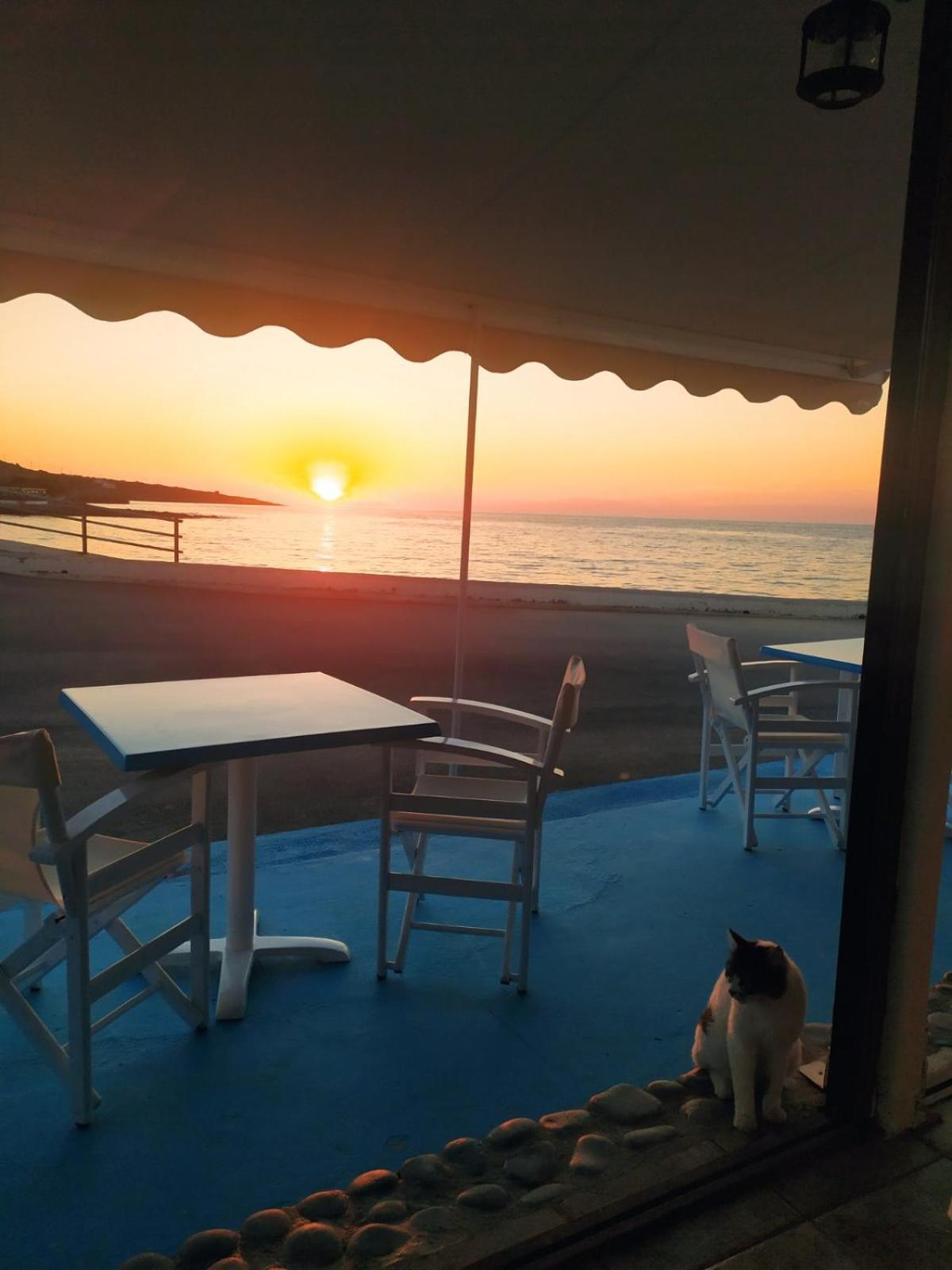 Meltemi Beach Apartments ミラトス エクステリア 写真
